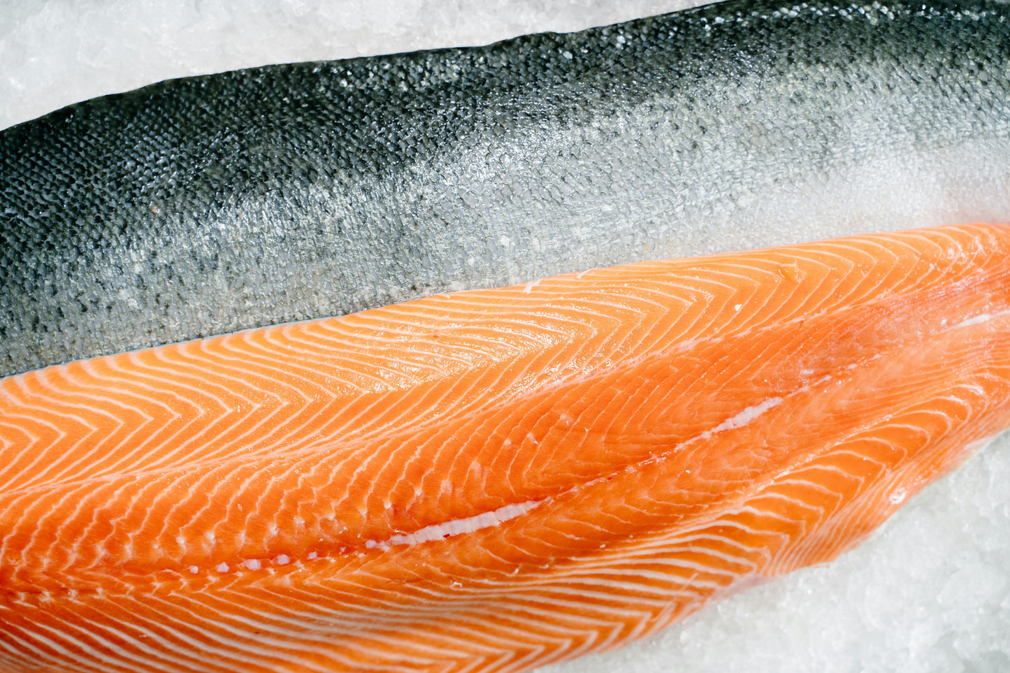 Atlantic Salmon Fillet - 8oz x 5pc